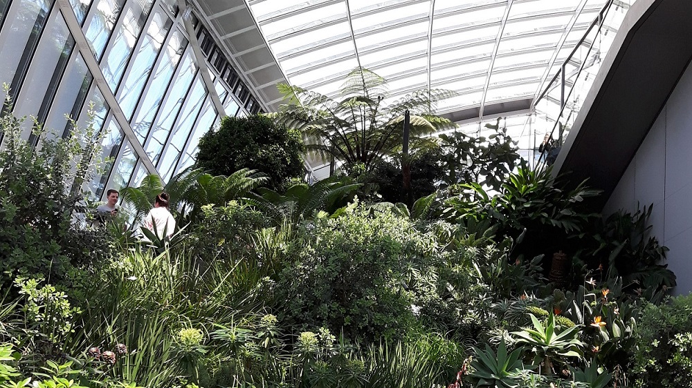 the walkie talkie building walklondon